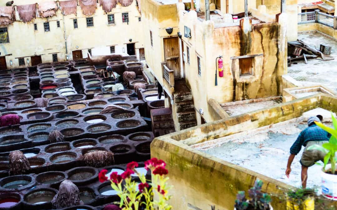 the traditional tannery of Fez, Morocco