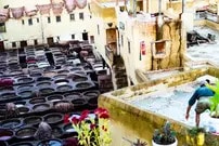 the traditional tannery of Fez, Morocco