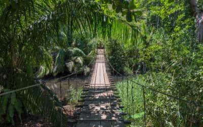 Costa Rica Off the Beaten Path: Osa Peninsula in Costa Rica