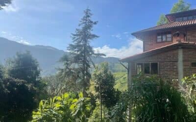 Yunguilla | Gemeinschaftstourismus in Ecuadors Nebelwald