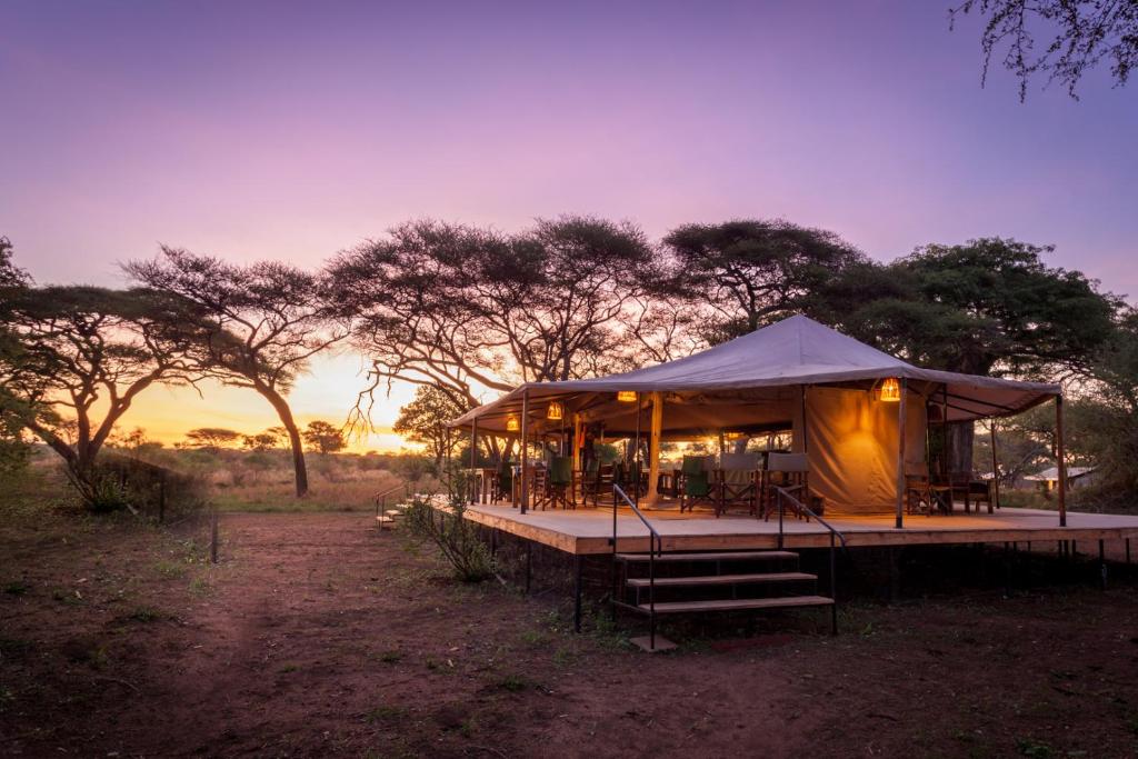 Tarangire: Baobab Tented Camp