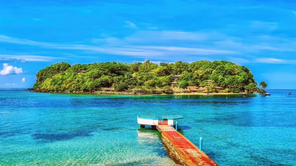 young island saint vincent
